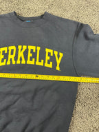 Champion UC Berkeley Mens Small Sweatshirt Navy Gold Eco Fleece Crewneck Y2K