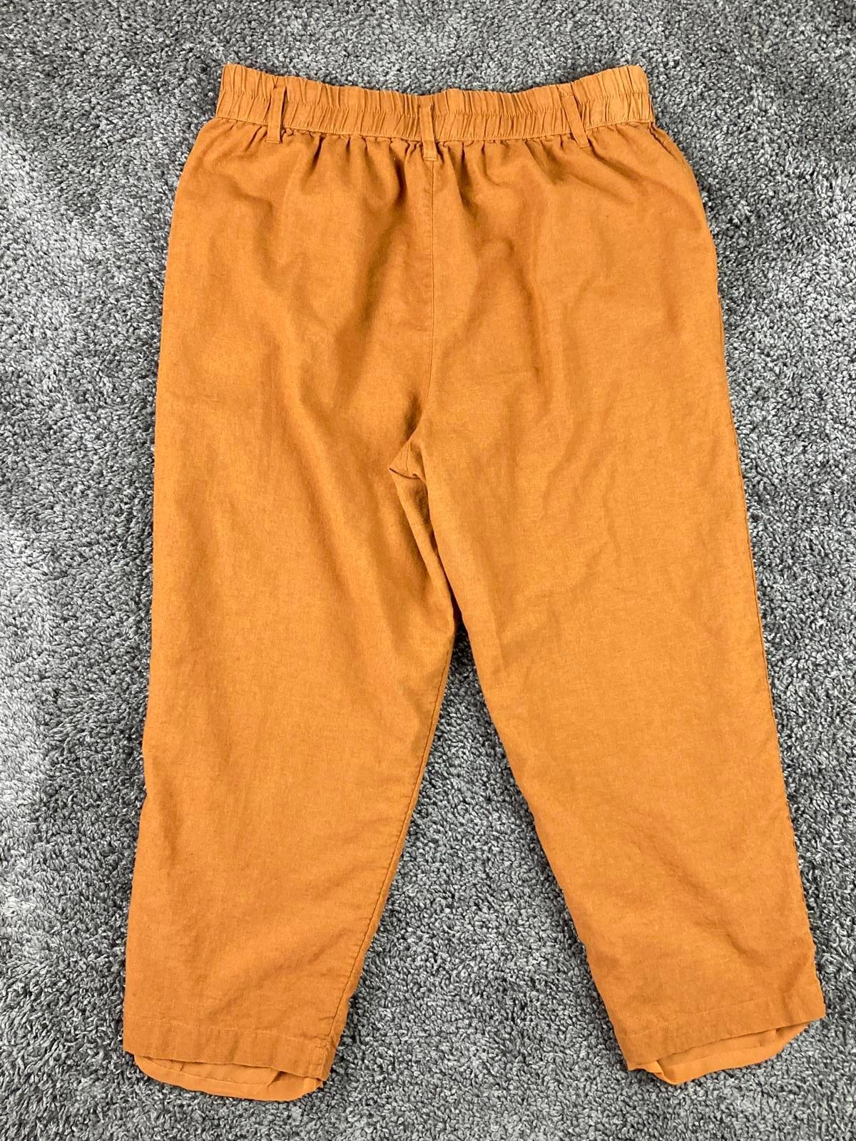 American Eagle Linen Blend Lined Pants Womens Rust Orange Elastic Waist Sz L