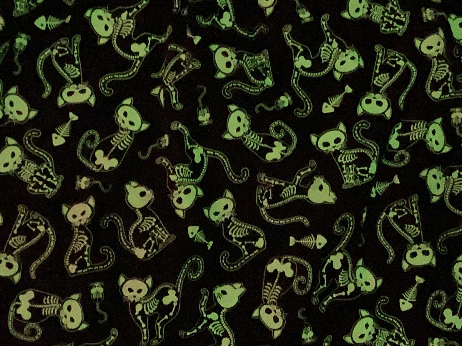 Folter Skeleton Cat Skirt Glow In The Dark Halloween Gothic Rockabilly Sz 4X