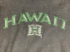 Vintage University of Hawaii Hoodie Mens Gray Rainbow Warriors 2000s NCAA Sz L