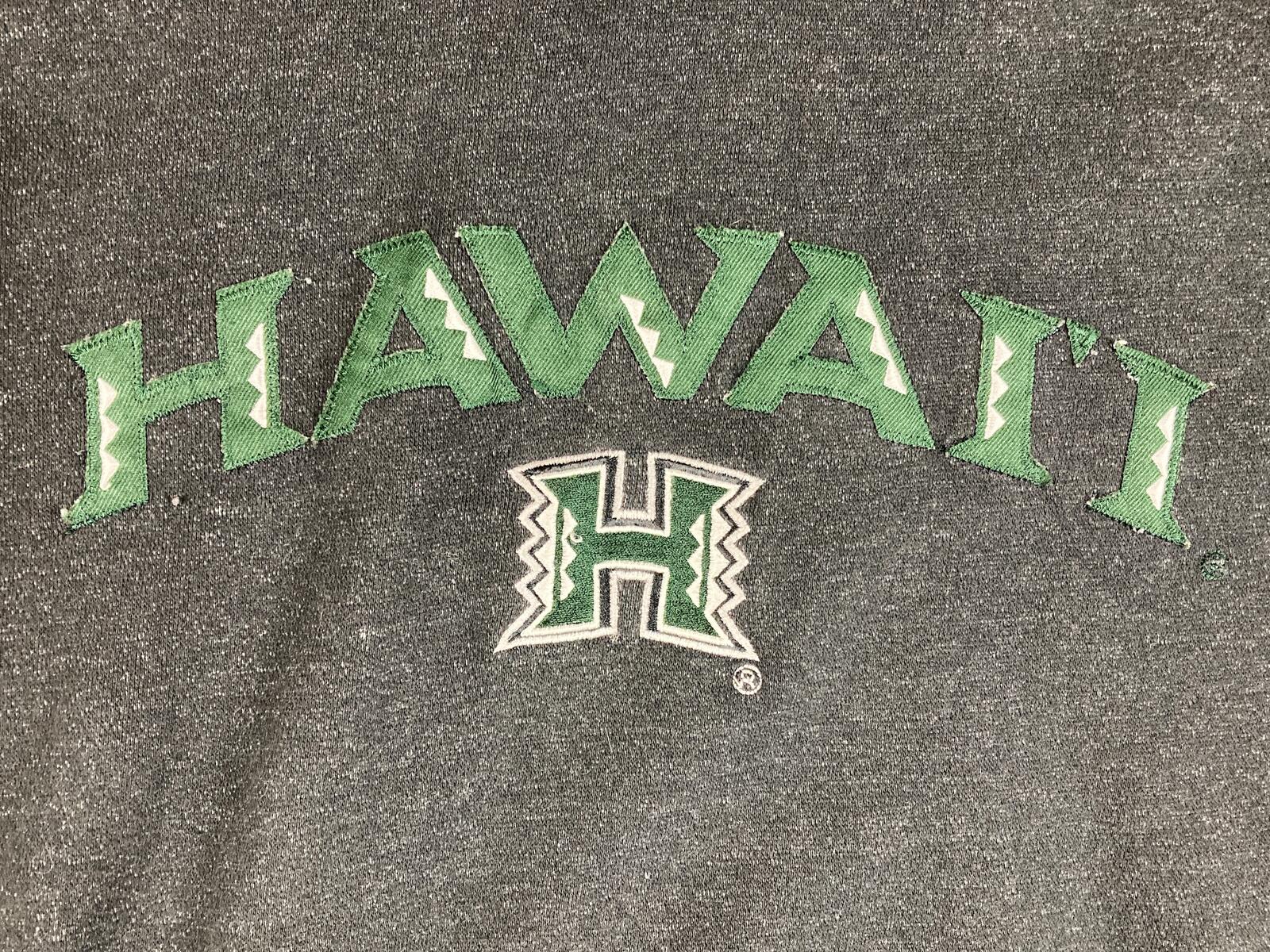 Vintage University of Hawaii Hoodie Mens Gray Rainbow Warriors 2000s NCAA Sz L