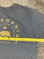 Rip Curl California Bear Surfboard Graphic T-Shirt Mens Gray Heather Surf Sz L