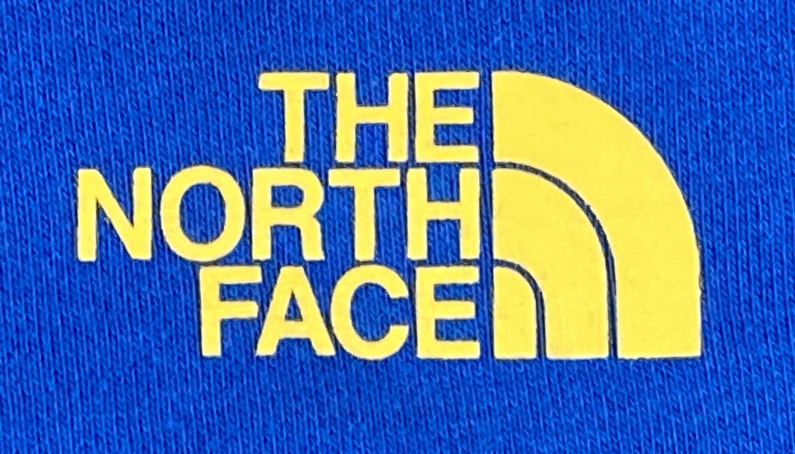 The North Face Boys  Hoodie Blue Never Stop Exploring Size XL 18/20