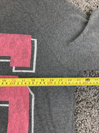 Disney Parks Disneyland Resort Castle 55 Grey Pink Jersey Sweatshirt Pullover 1X