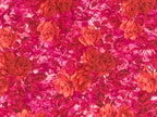 Georg Roth Los Angeles Floral Rose Shirt Women's Pink Cotton Velvet Trim Sz L
