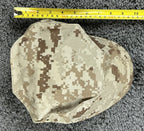 USMC Desert MARPAT Garrison Cover 8 Point Utility Cap Hat Camo USGI Sekri Sz S