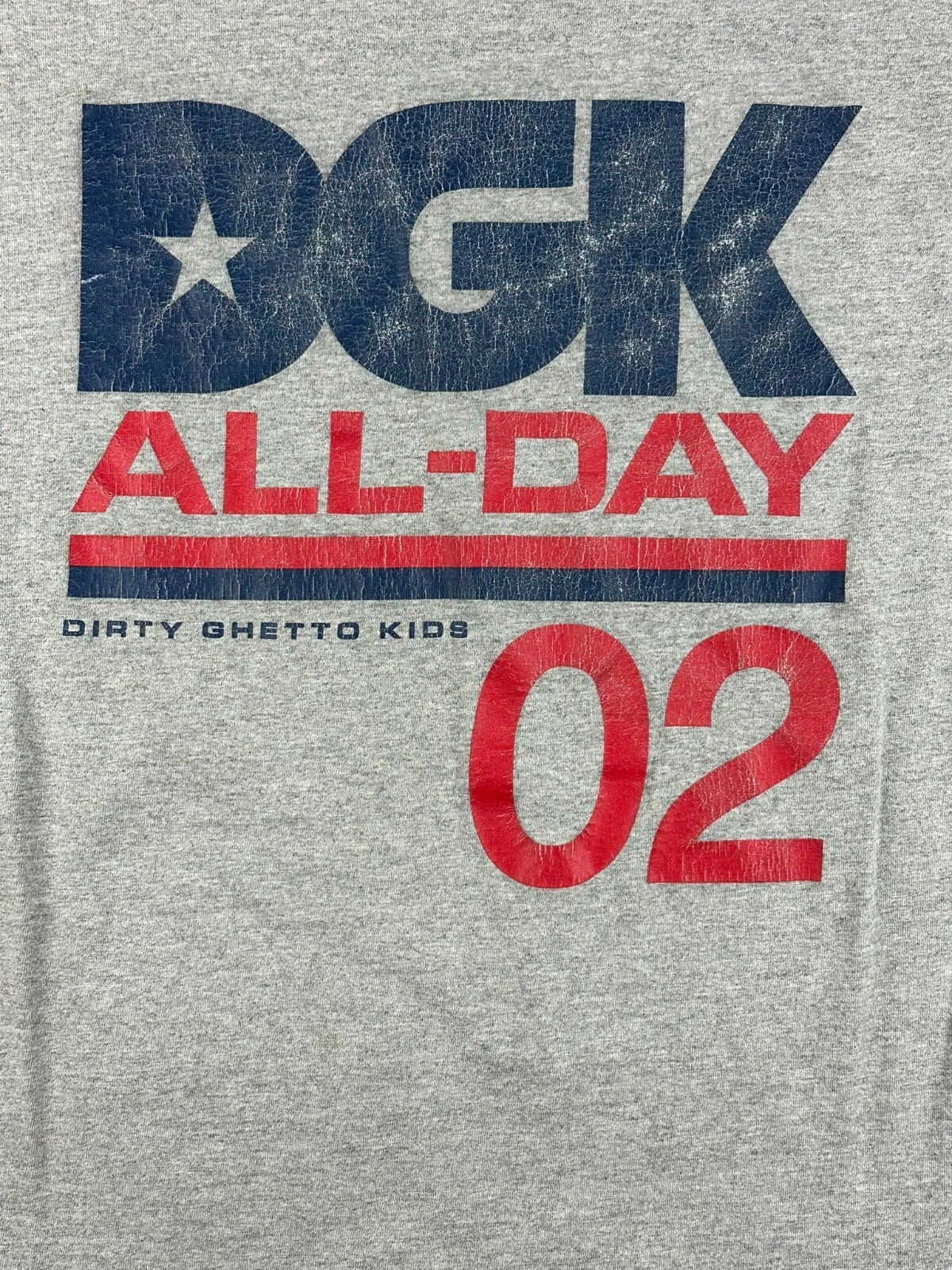 DGK All Day 02 T-Shirt Mens Gray Dirty Ghetto Kids Skateboard Tee Shirt Sz Large