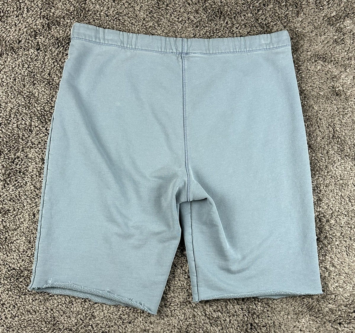 Reformation Jeans Womens L Blue French Terry Raw Hem Sweat Shorts USA
