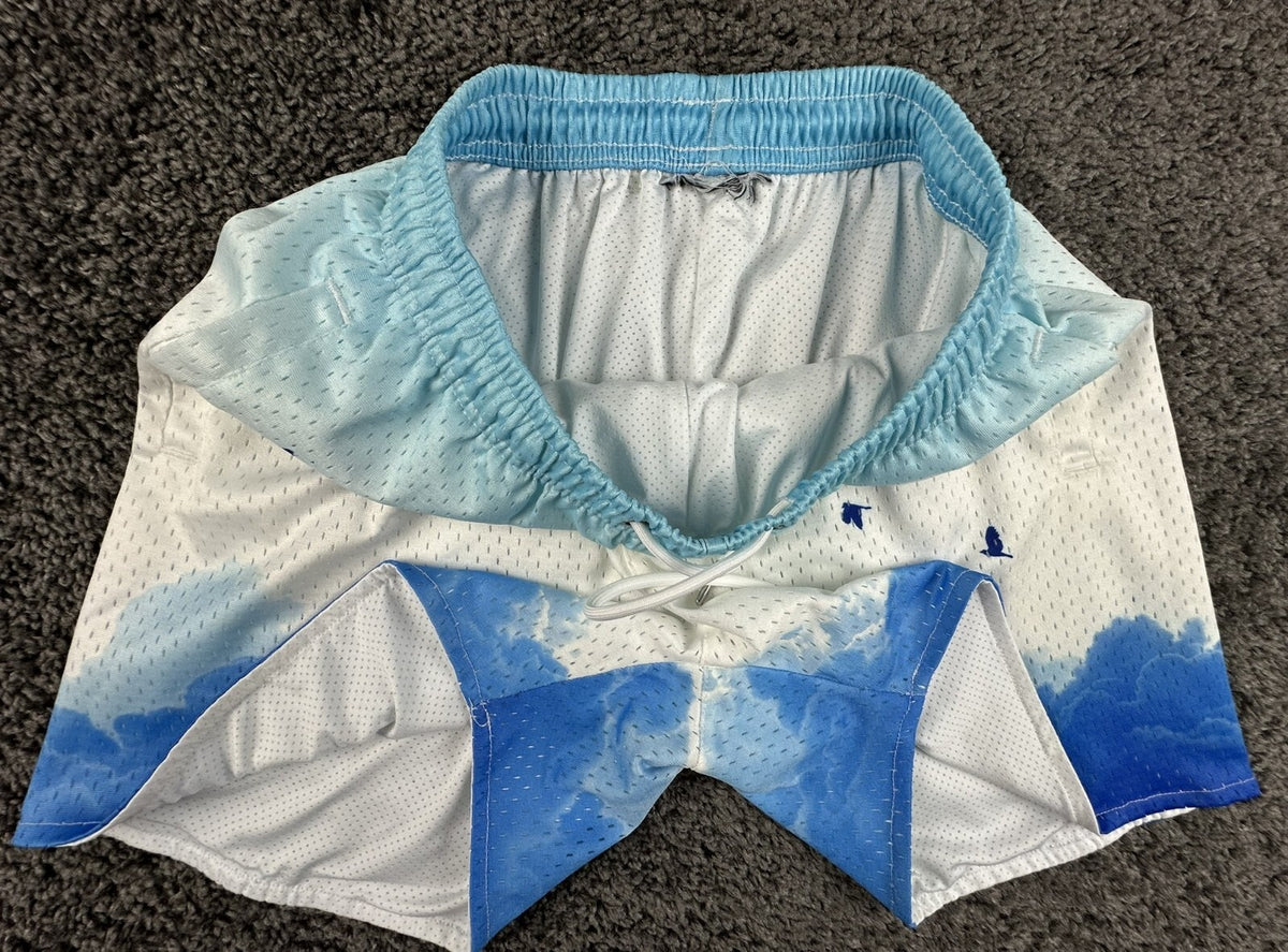 YoungLA Mens Block Party Shorts Above The Clouds Mesh Gym Workout