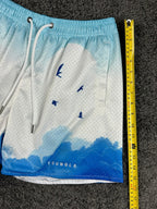 YoungLA Mens Block Party Shorts Above The Clouds Mesh Gym Workout
