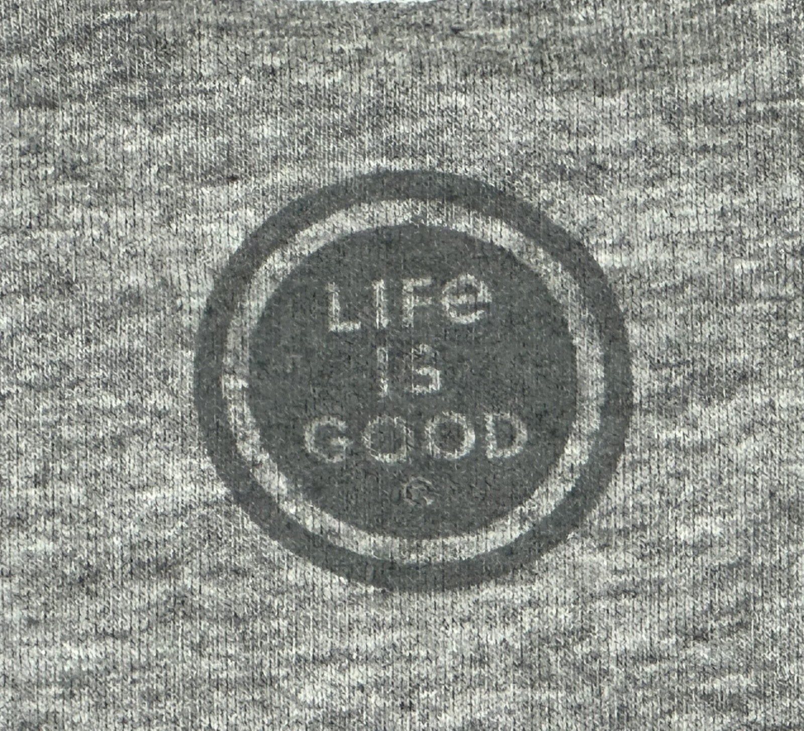 Life is Good Men Crusher Tee Gray Growler Bear Craft Beer Graphic Shirt Sz Large
