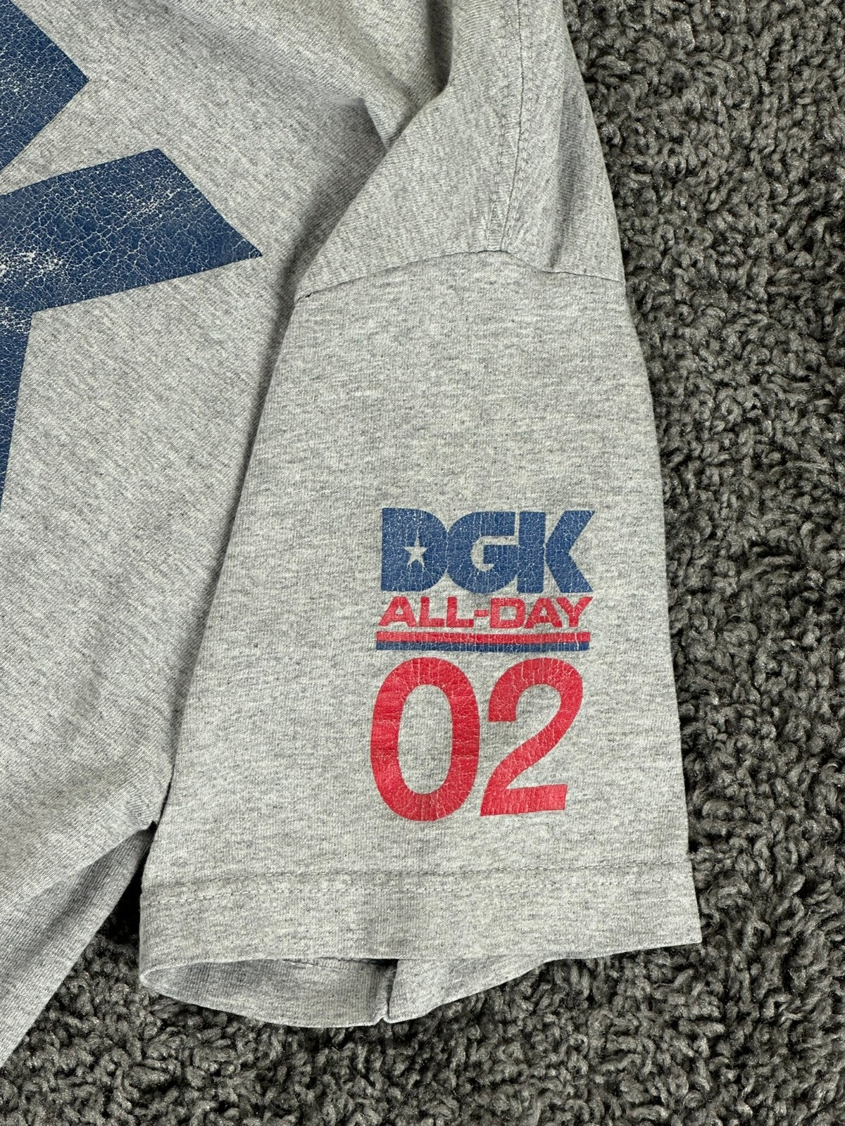 DGK All Day 02 T-Shirt Mens Gray Dirty Ghetto Kids Skateboard Tee Shirt Sz Large