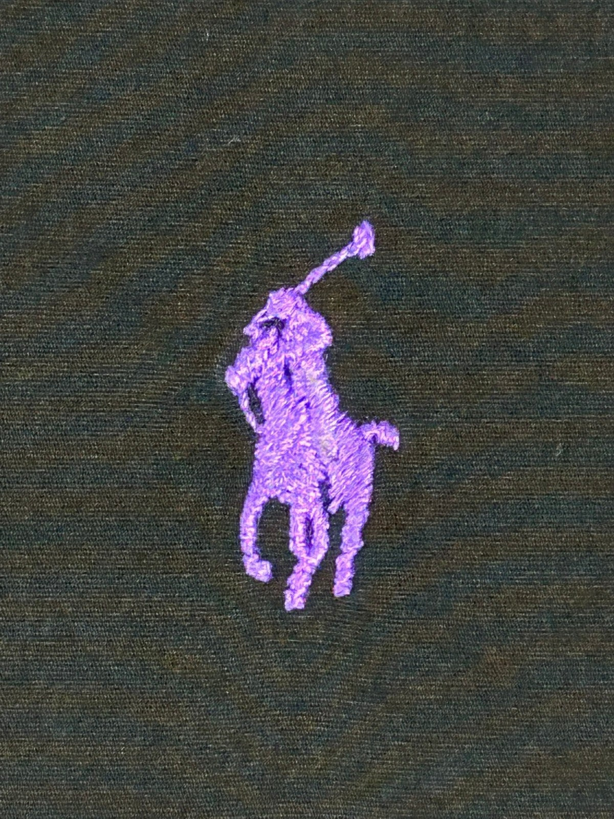 Ralph Lauren Mens XL Black Button Down Shirt Purple Pony Long Sleeve Casual
