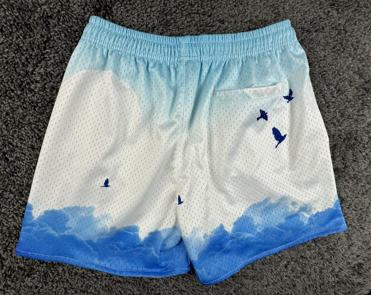 YoungLA Mens Block Party Shorts Above The Clouds Mesh Gym Workout