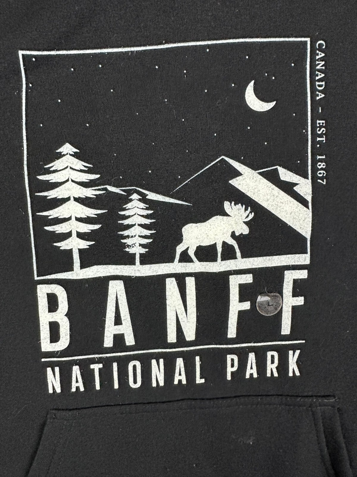 Canadian Vintage Clothing Co Mens L Black Banff National Park Graphic Hoodie NWT