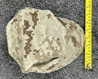 USMC Desert MARPAT Garrison Cover 8 Point Utility Cap Hat Camo USGI Sekri Sz S
