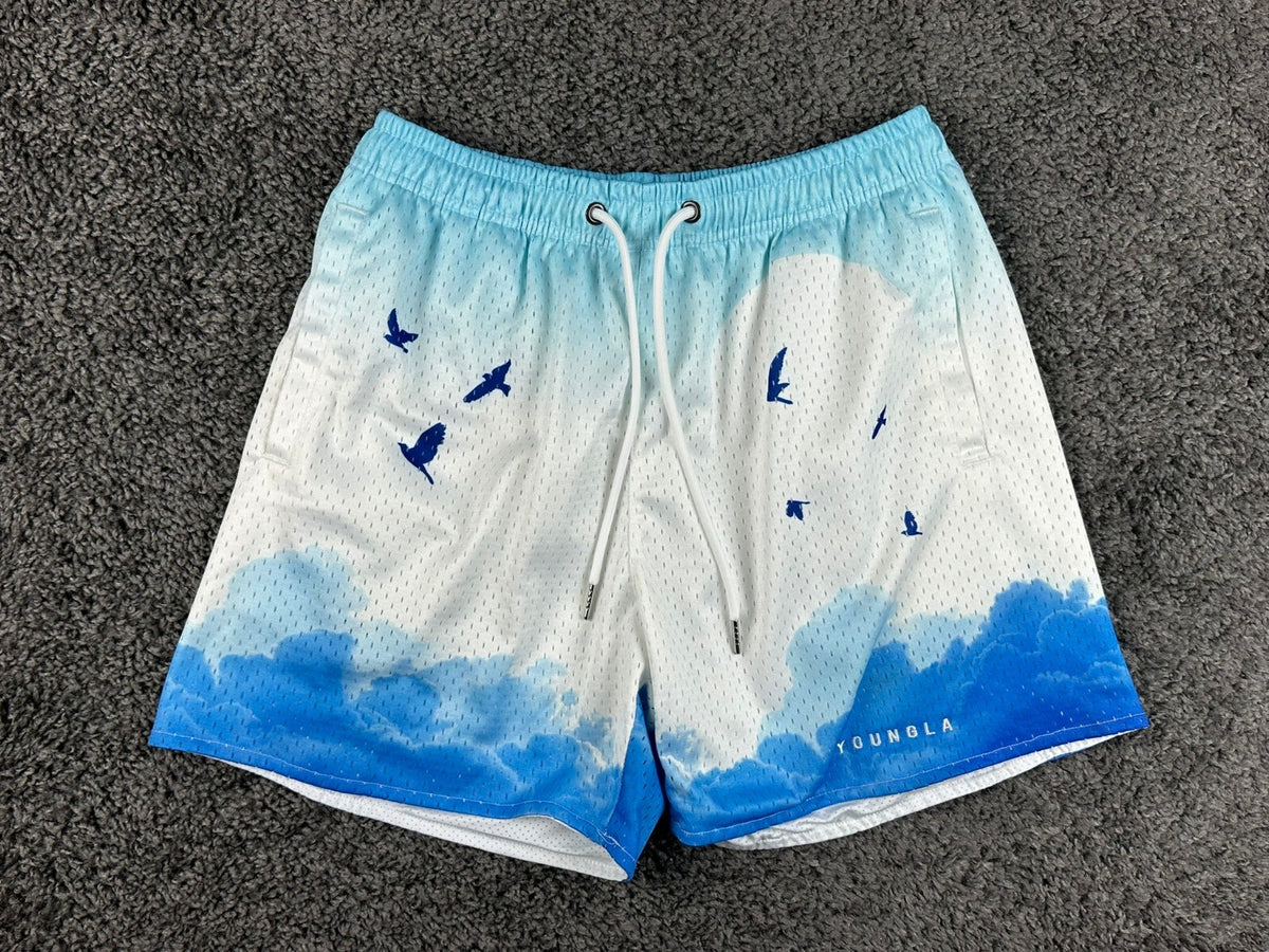 YoungLA Mens Block Party Shorts Above The Clouds Mesh Gym Workout