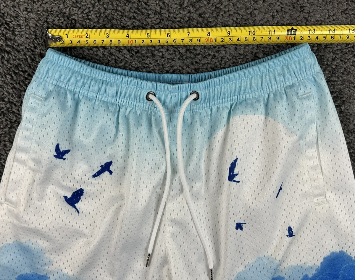 YoungLA Mens Block Party Shorts Above The Clouds Mesh Gym Workout